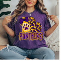 Panthers Pom & Megaphone