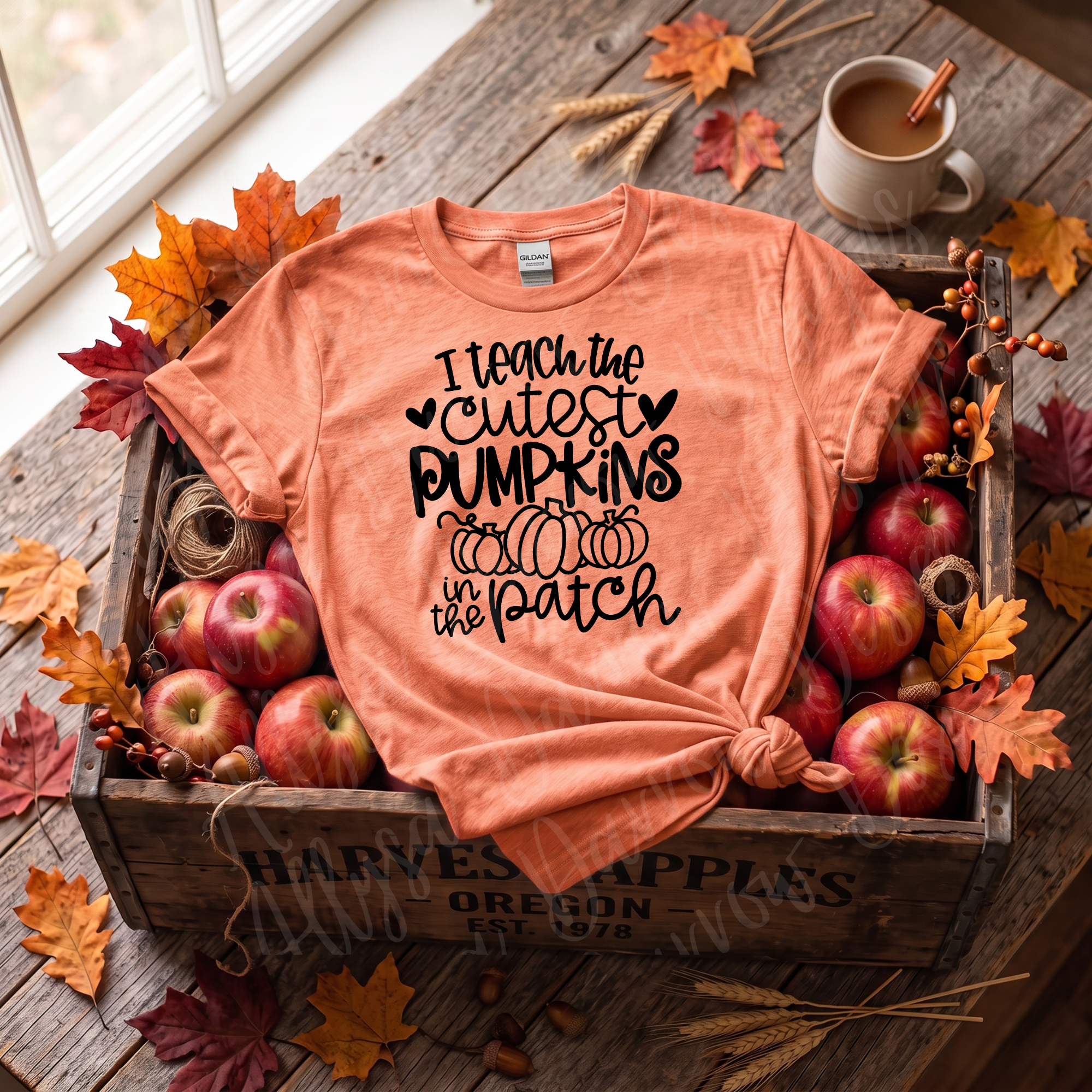 Cutest Pumpkins