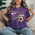 Volleyball Panther