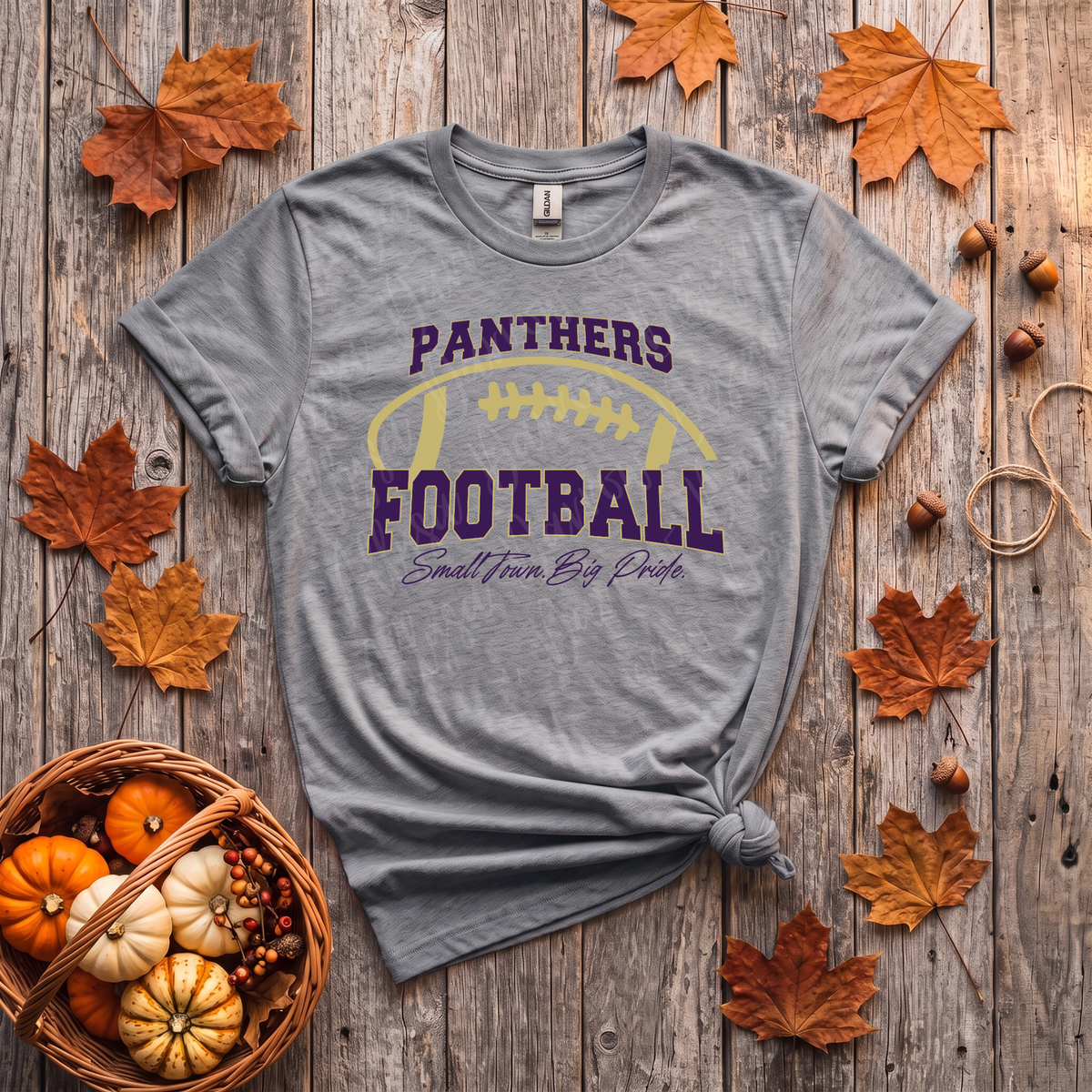 Panther Football